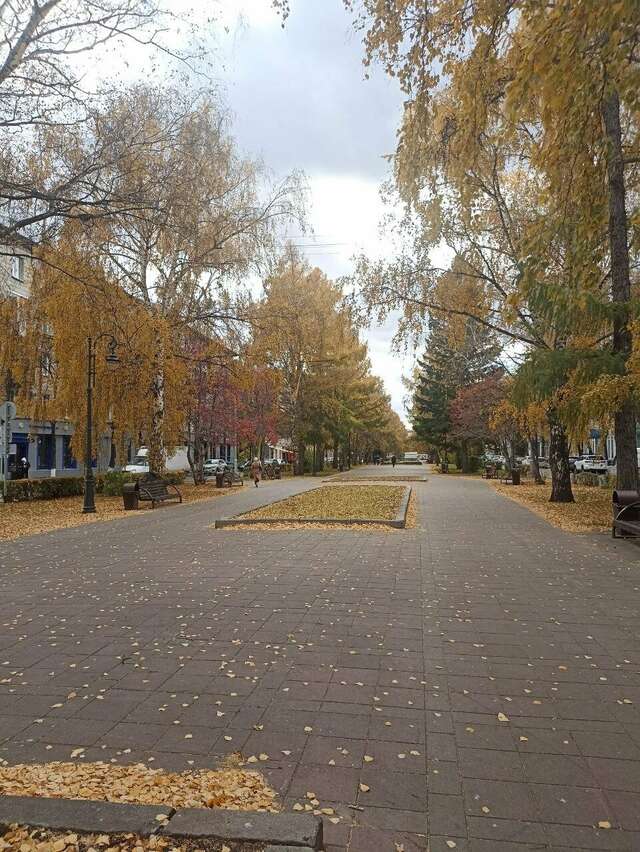 Гостиница Кузбасс Кемерово-188